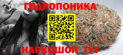 дживик Можга