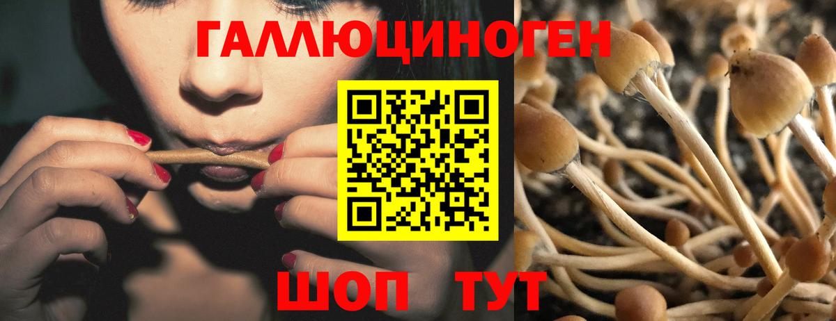 Галлюциногенные грибы Magic Shrooms  Галлюциногенные грибы прущие грибы  Вход с VPN  Тавда 