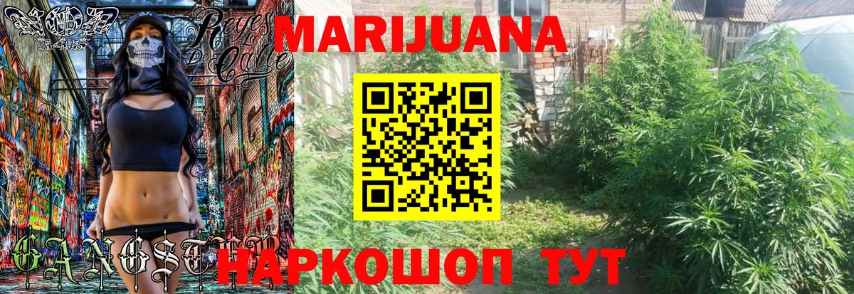 Бошки Шишки конопля Тавда